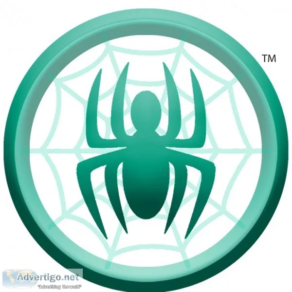 Web development company in mumbai