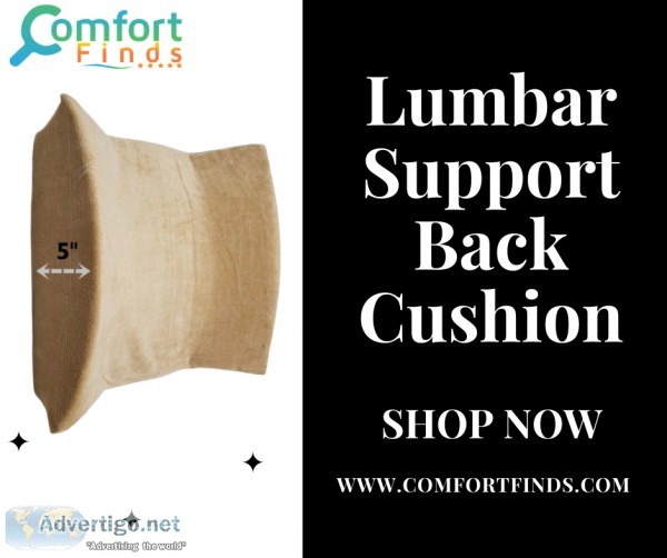 Buy Lumbar Support Back Cushion For Posture Support