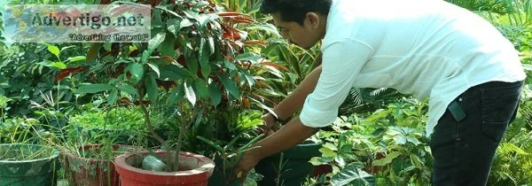 Top 5 Reasons to study B.Sc. Agriculture in India