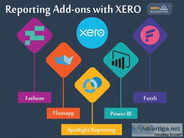Reporting Add-ons with XERO