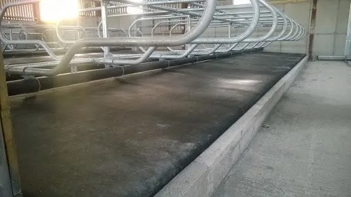 Cow Mats in India