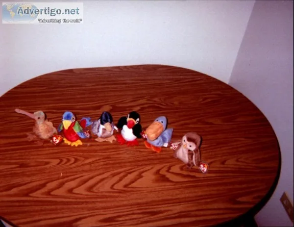 TY Beanie Baby Birds
