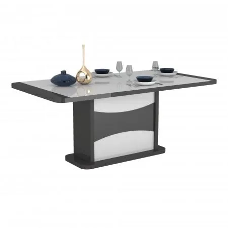 Buy Tymothi White And Grey High Gloss Dining Table