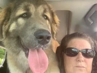 Caucasian OvcharkaCaucasian Shepherd