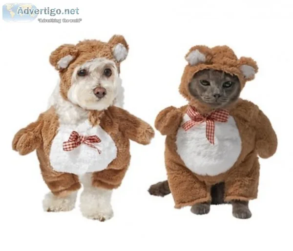 Teddy Bear Dog and Cat Costume
