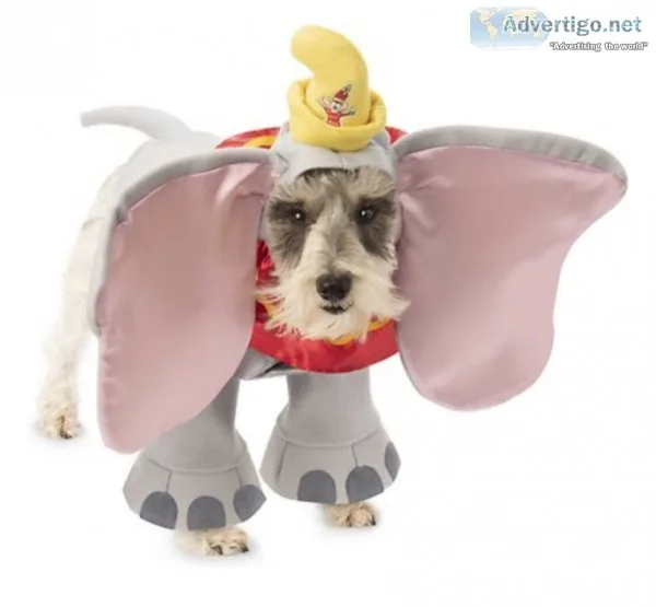 Dumbo Dog Costume