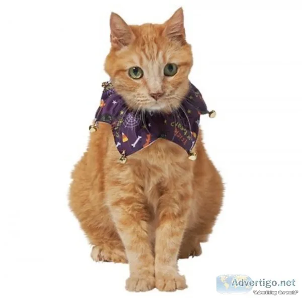 Cat Ruffle Collar with Bells Purple One Size
