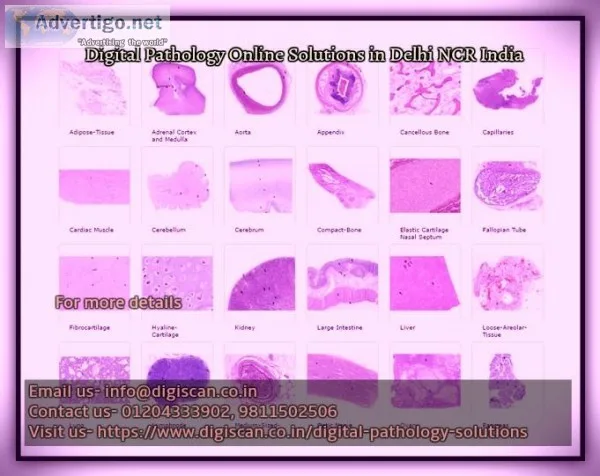 Scanning for digital pathology