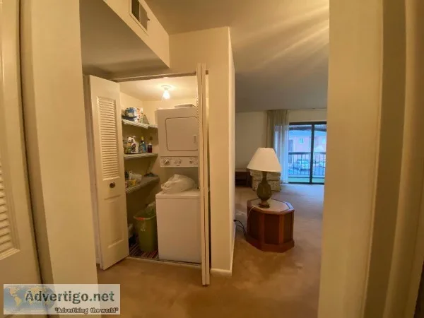 Cozy  Condo