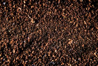 Coffee Grounds for Grass Yes Spread Them on Your Lawn - Scott s 