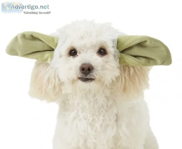 Yoda Ears Dog Costume