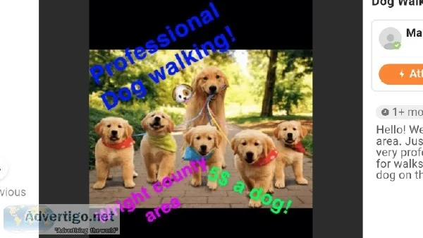 Dog walking or pet sitting