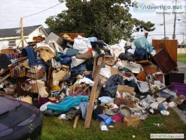 Professional Junk Removal Service