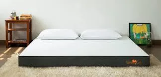 Best orthopedic foam mattress in India