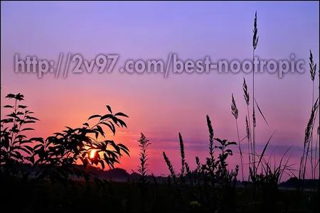 The best nootropic ~ brain and energy enhancing formula