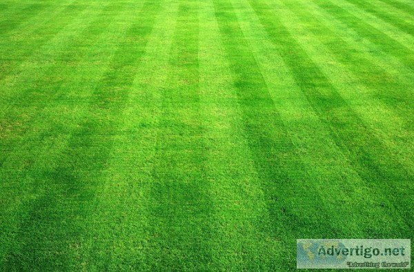 Artificial grass Manufacturer