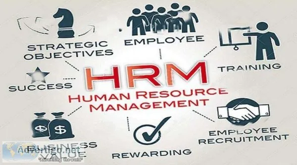 Human Resource Management Degree