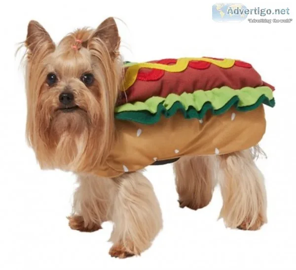 Hotdog Dog and Cat Costume