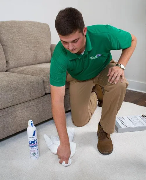 Ottawa Carpet Cleaning