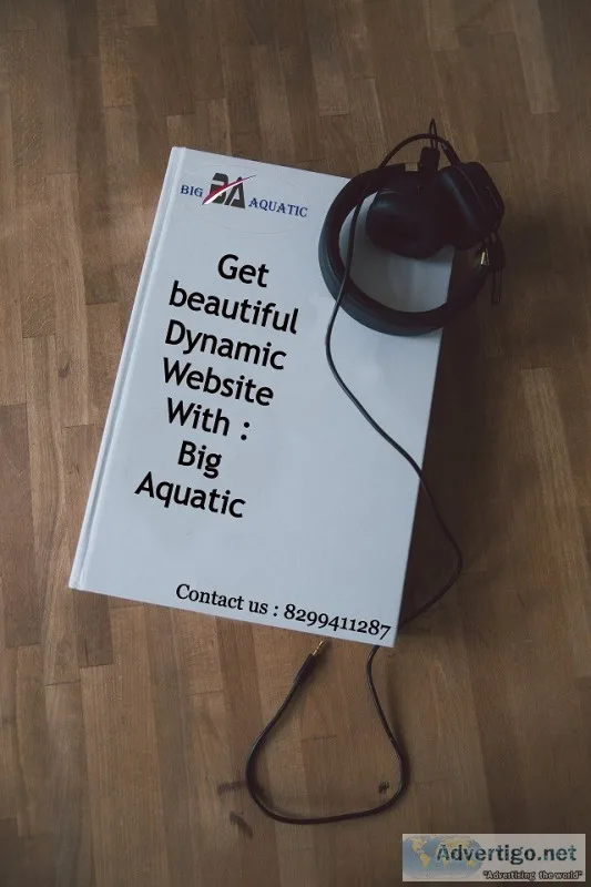 Get beautiful static website design : big aquatic