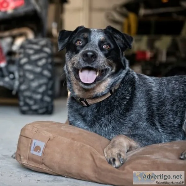 Carhartt Pillow Dog Bed wRemovable Cover