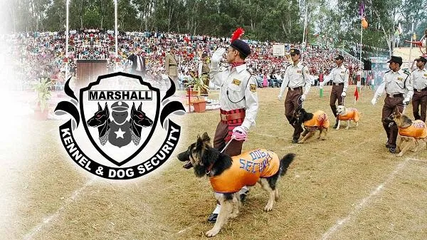 Sniffer Dogs in Chennai