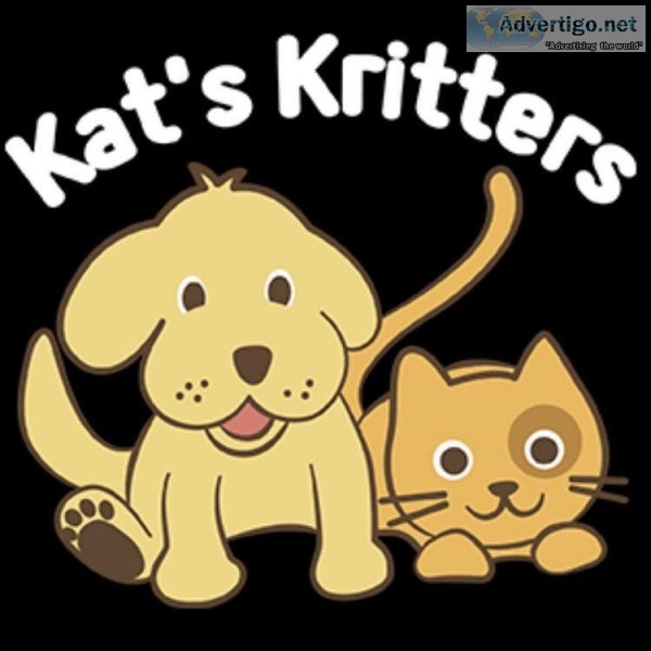 Dog Walking North Brisbane  Kats Kritters