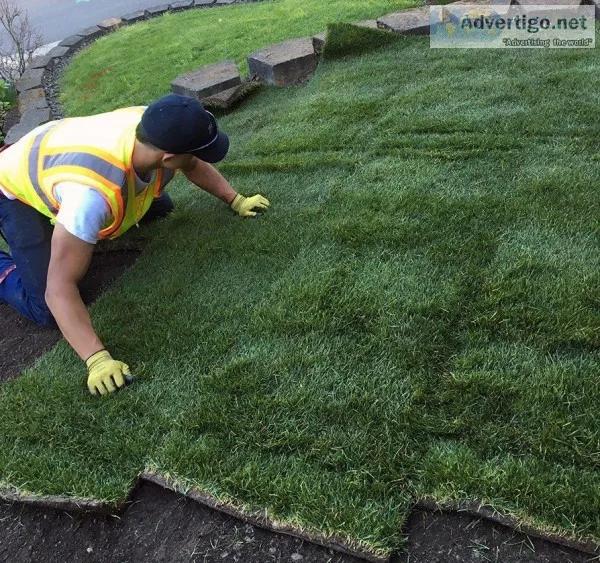 Sod Laborer Wanted