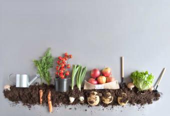 Edible Landscaping Creating a Garden That Looks Good Enough to E