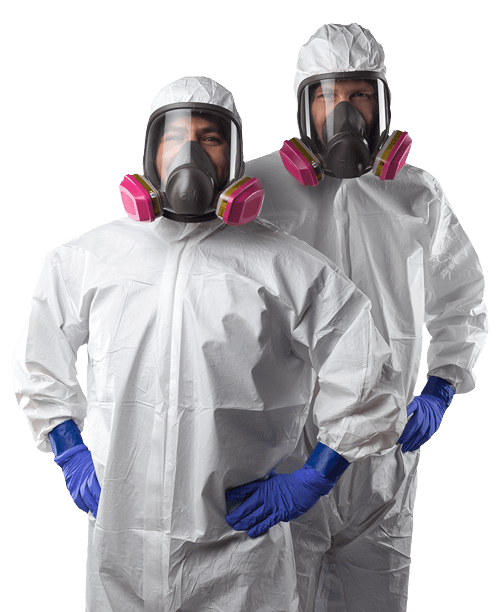 Get Mold Remediation Pompano Beach  servicemasterremedia tionser