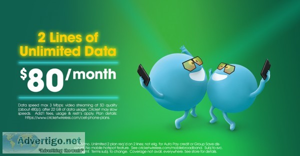 2 LINES UNLIMITED DATA FOR 80