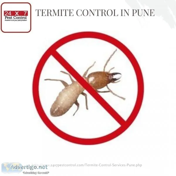 Best Termite Control Services in Pune