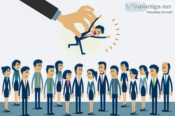 Job consultancy in noida | placement agency in noida