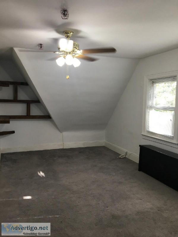 Apt 1 bedroom near 84st34ave Jackson Heights