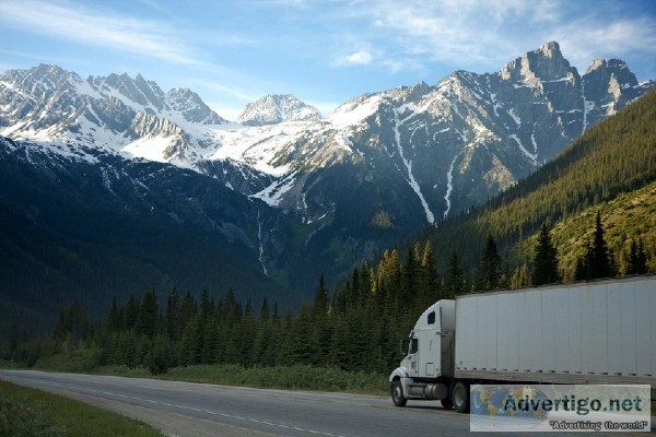 Office Movers Auckland