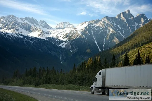 Office Movers Auckland