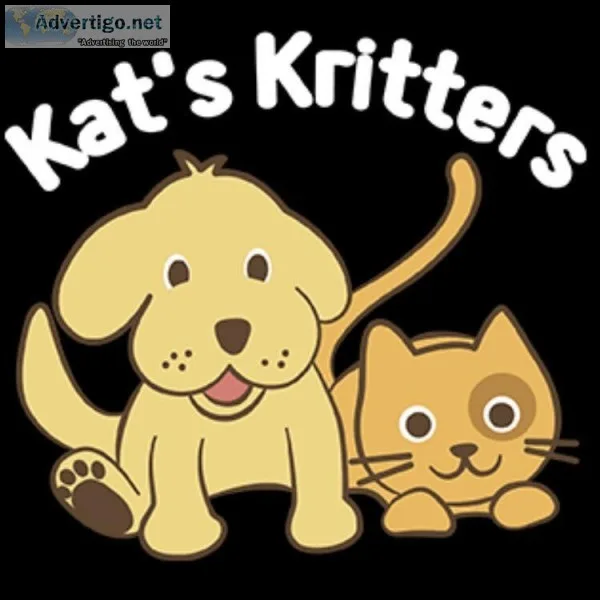 Cat Sitting Brisbane - Kats Kritters