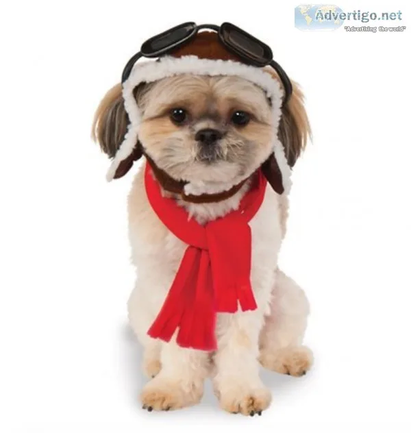 Aviator Hat and Scarf Dog Costume