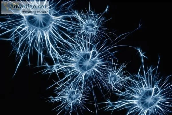 Improve brain Performance with this Powerful fuel today!