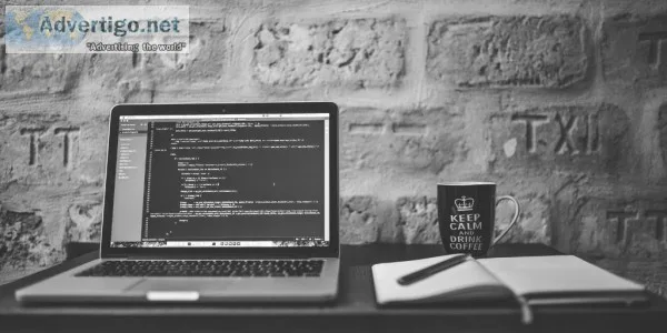 Software Market