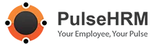 Payroll software | payroll management software