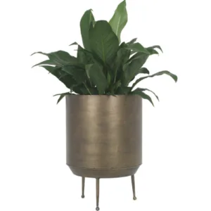 Looking for pots for you home and gardern decore 
