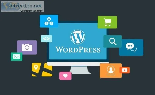 Professional Website Designers In Hyderabad  Digital Surya