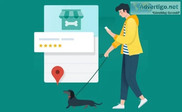 Best Local SEO Services in Hyderabad  Digital Surya