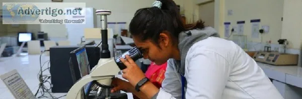 Best Colleges for Biotechnology Engineering - NIET Greater Noida