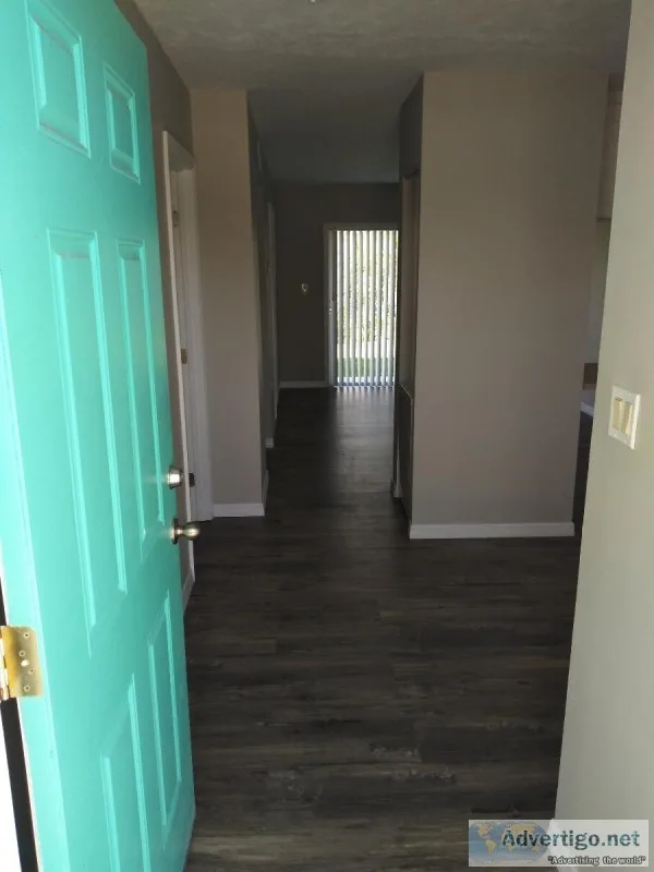 studio and 1 bdrm apts. so. beach ft. pierce