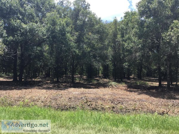 Gorgeous 1.25 acres in Okeechobee Florida