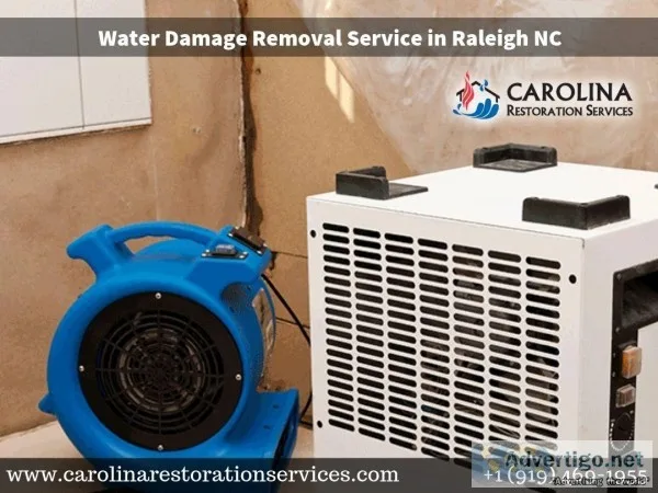 Best Water Removal Company in Raleigh NC