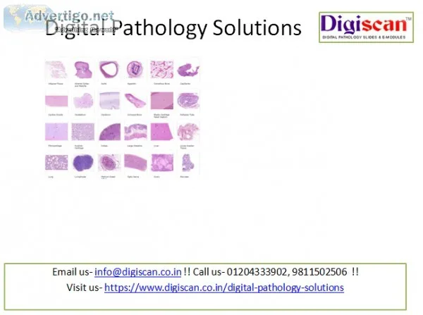 Oral pathology quiz