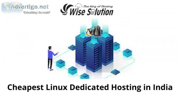 Get faster Ranking with advanced featured Linux Dedicated Hostin